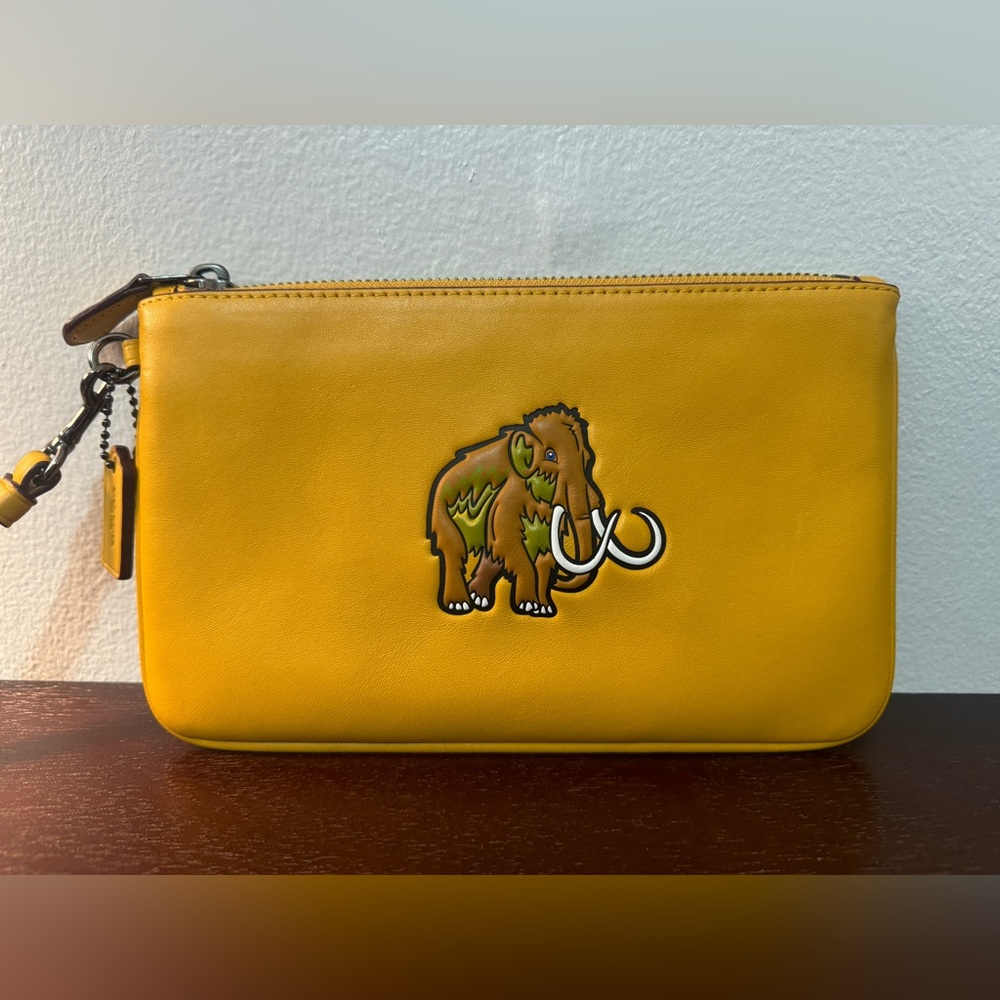 Coach Woolly Wristlet